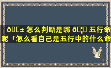 🐱 怎么判断是哪 🦍 五行命格呢「怎么看自己是五行中的什么命格」